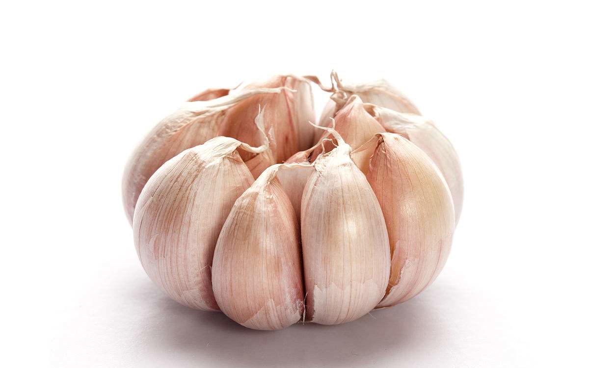 乳汁分析儀廠家提醒備孕的夫婦要警惕以下食物 乳汁分析儀廠家提醒備孕的夫婦要警惕以下食物