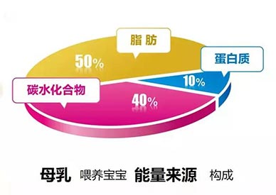 乳成分快速分析儀 超聲乳成分快速分析儀-母乳是嬰兒成長所需的營養和抗體